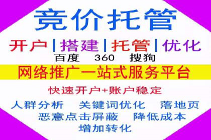 推广竞价策略解析：成功案例分享