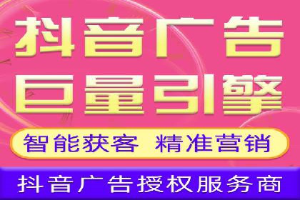 SEO与SEM服务结合的实战案例